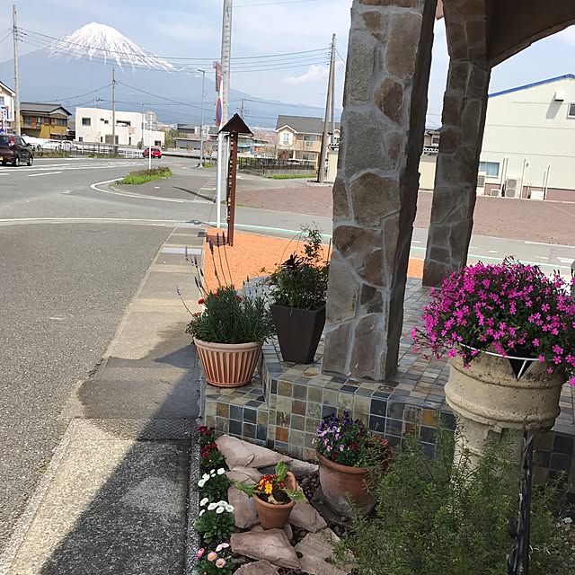 OldTreeさんの実例写真