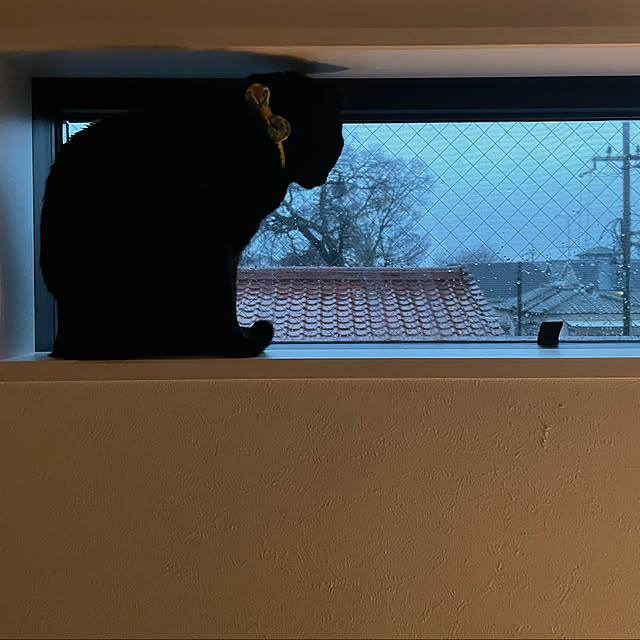 NNさんの実例写真