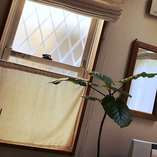 ishimokaさんの実例写真