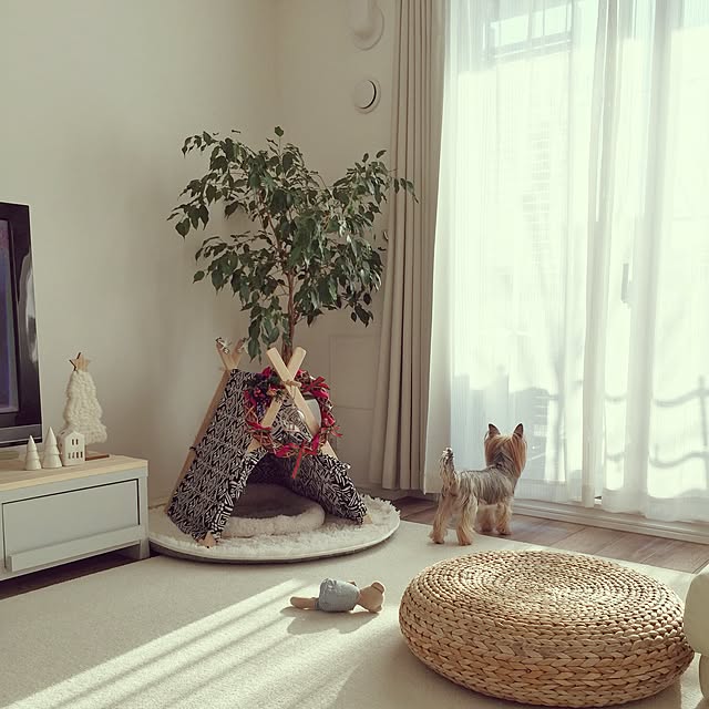 KAZUMAさんの実例写真