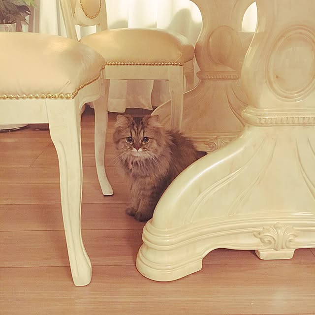 musicsukiさんの実例写真