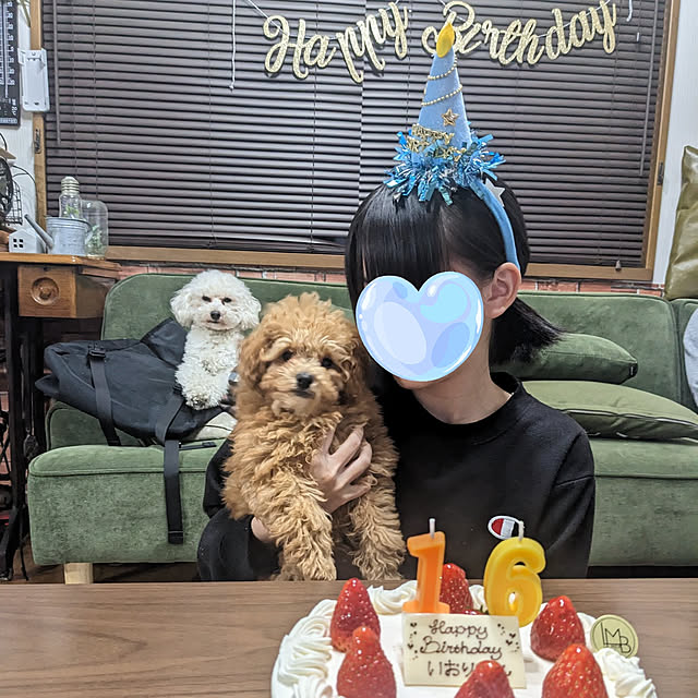 norinoriさんの実例写真