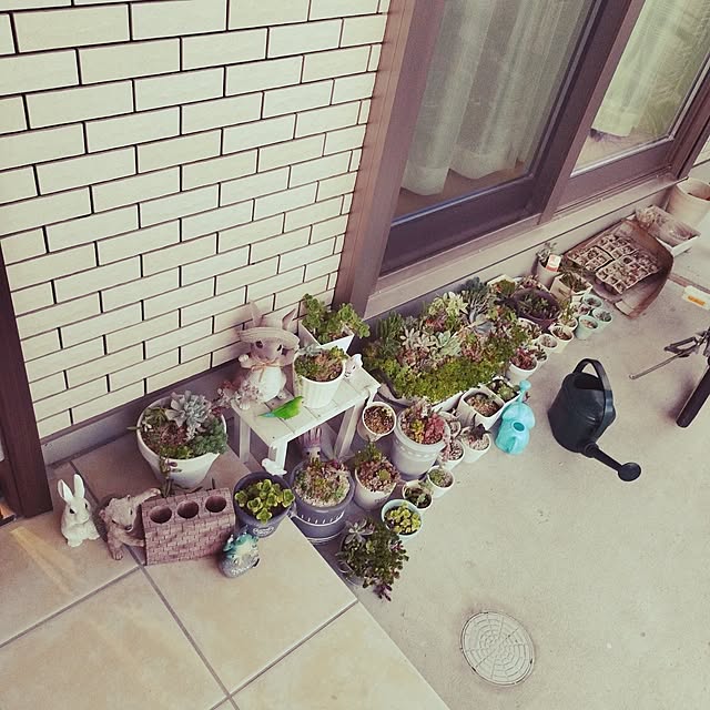 happy_kakakaさんの実例写真