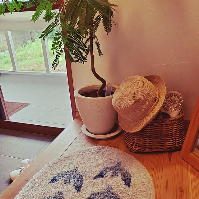 Mieさんの実例写真