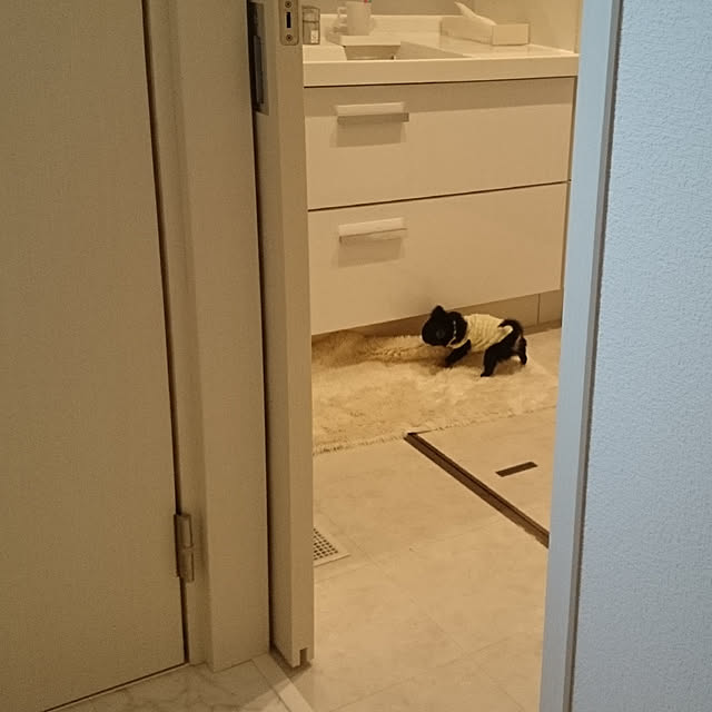 anriさんの実例写真