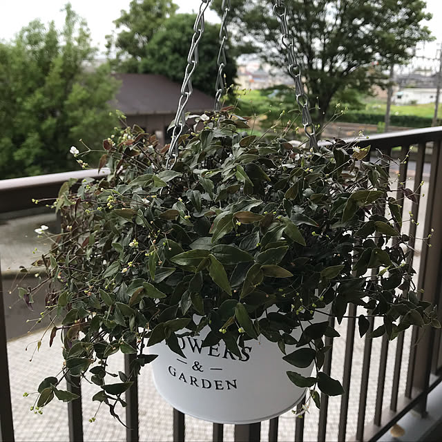 pakilaさんの実例写真