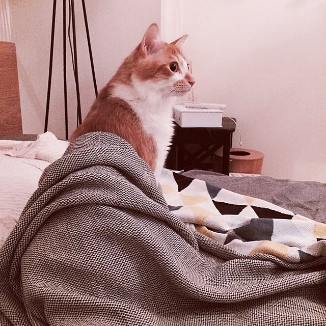 Reikoさんの実例写真