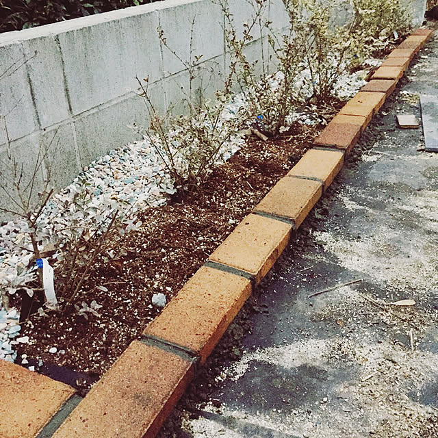 rinaさんの実例写真