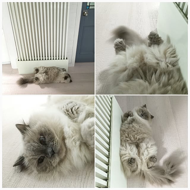 yuchiさんの実例写真