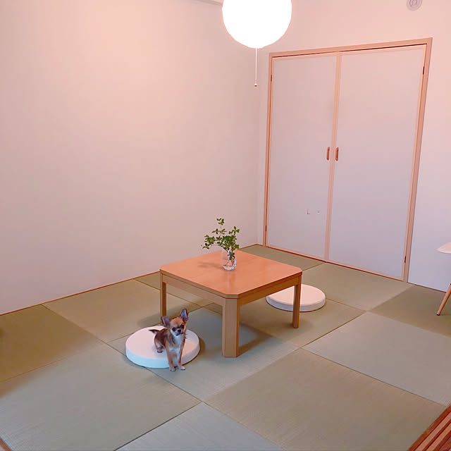 Misaさんの実例写真