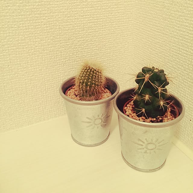emimimiさんの実例写真