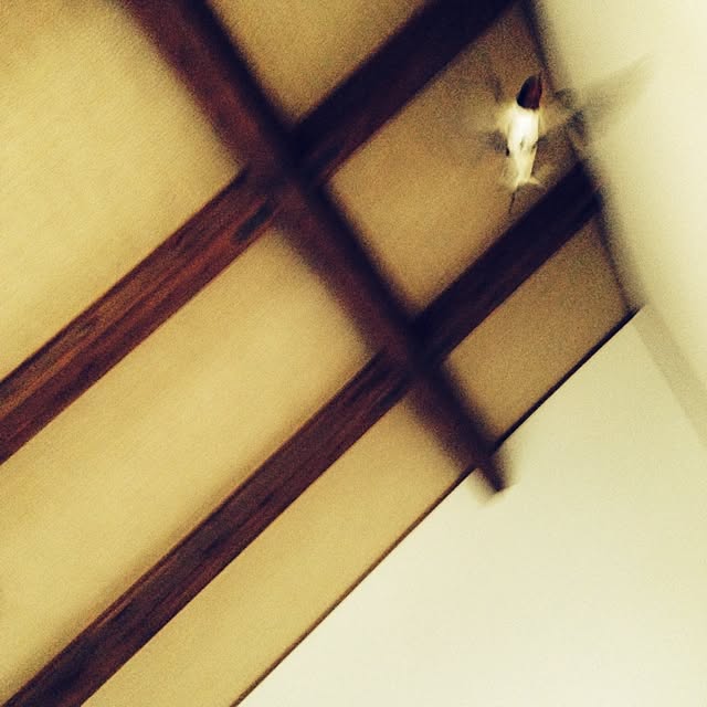 kinari.akariさんの実例写真