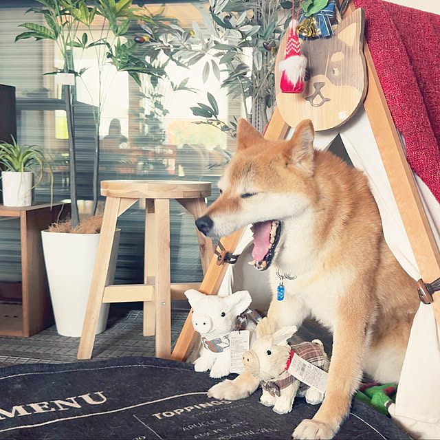 yuさんの実例写真