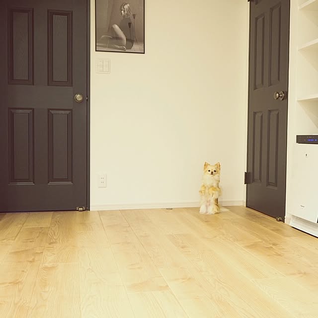 mariさんの実例写真