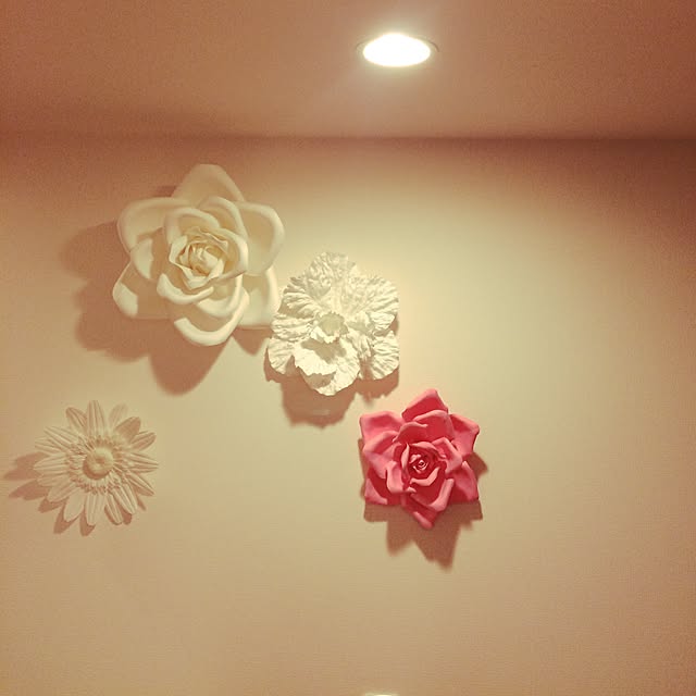 rikamonさんの実例写真