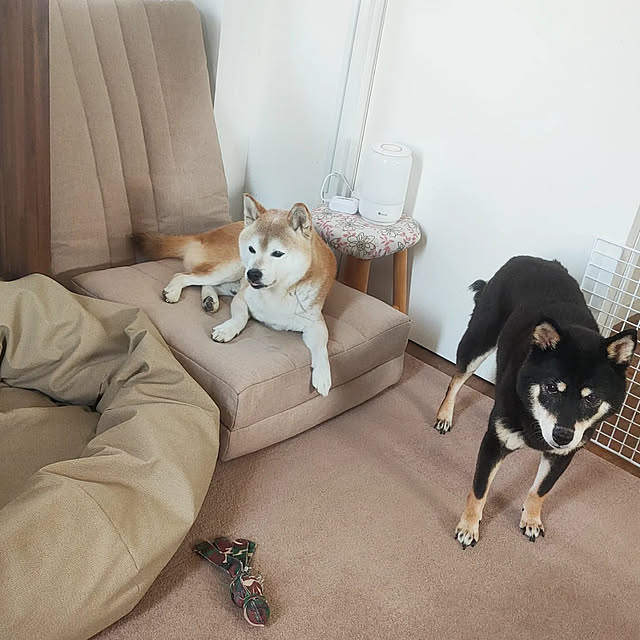 ponhanaさんの実例写真
