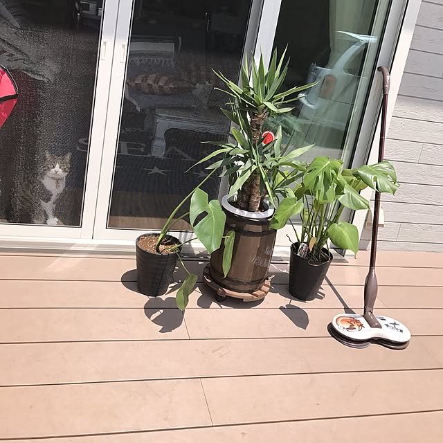simamuuさんの実例写真