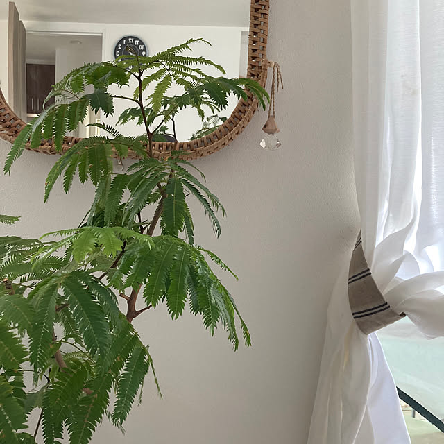 hikuidoriさんの部屋