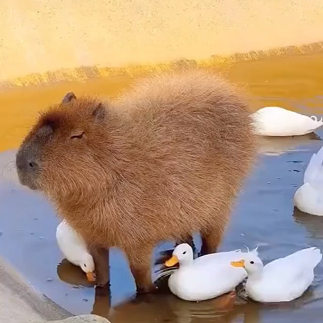 tenさんの実例写真