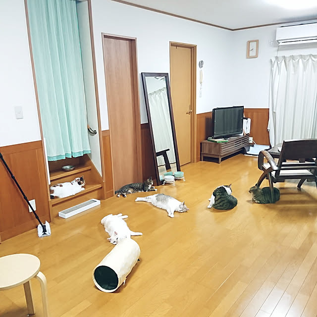 nachiさんの実例写真