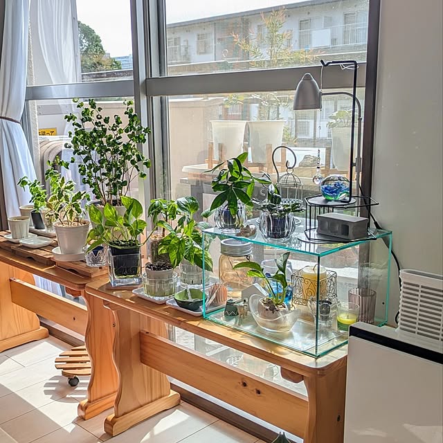 mi-saさんの実例写真