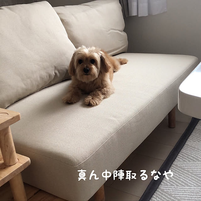 qooさんの実例写真