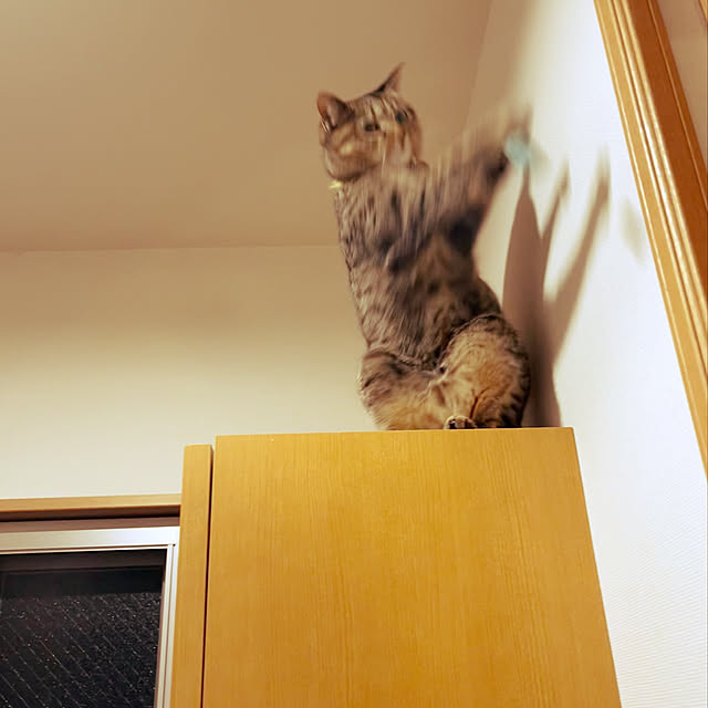 Mさんの実例写真