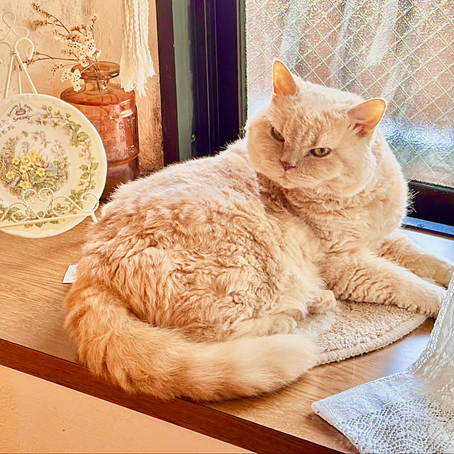 naokoさんの部屋