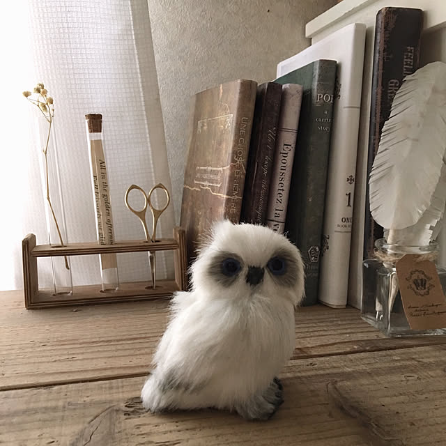 sayaさんの実例写真