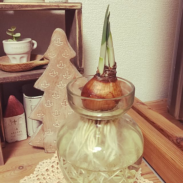 pukuさんの実例写真