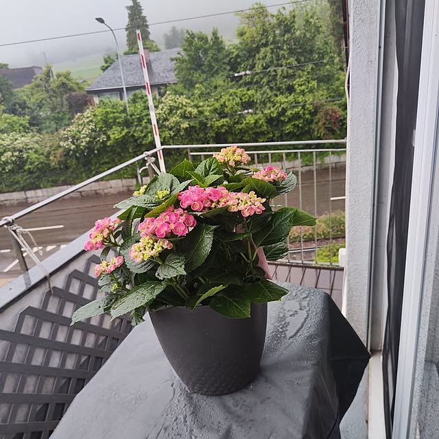 lustigさんの部屋