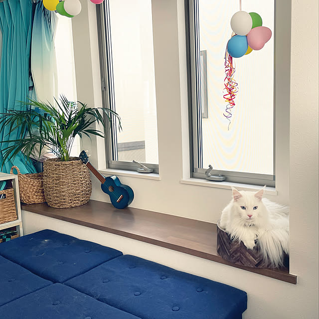 Lionaさんの実例写真