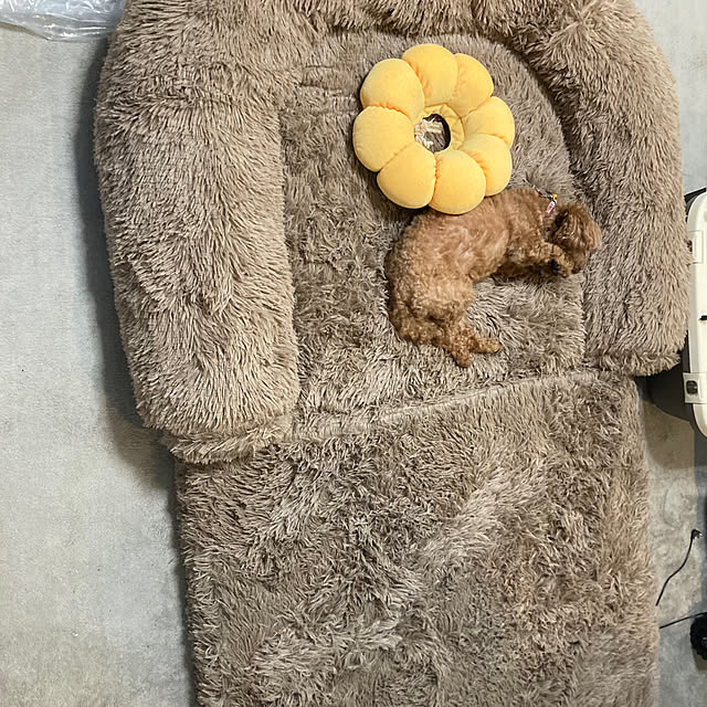 MOMOMAMAさんの部屋
