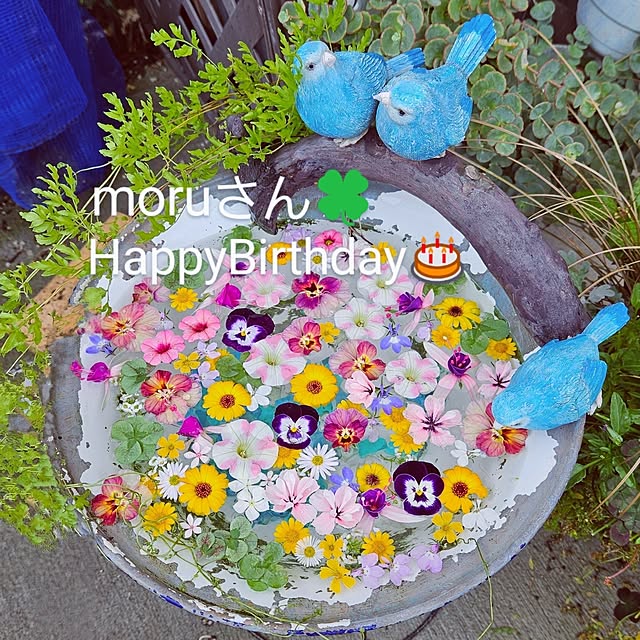 mocomocoさんの実例写真