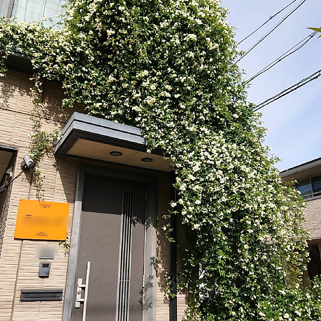 EKさんの実例写真