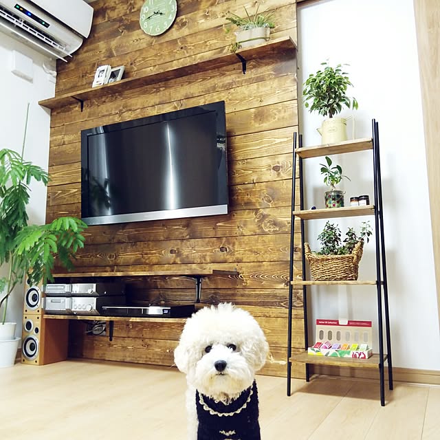 loveさんの実例写真