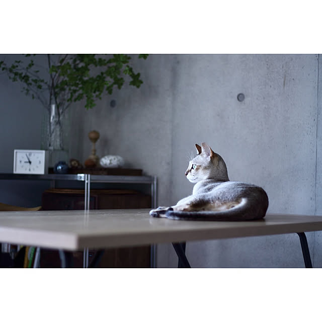 erikaさんの実例写真