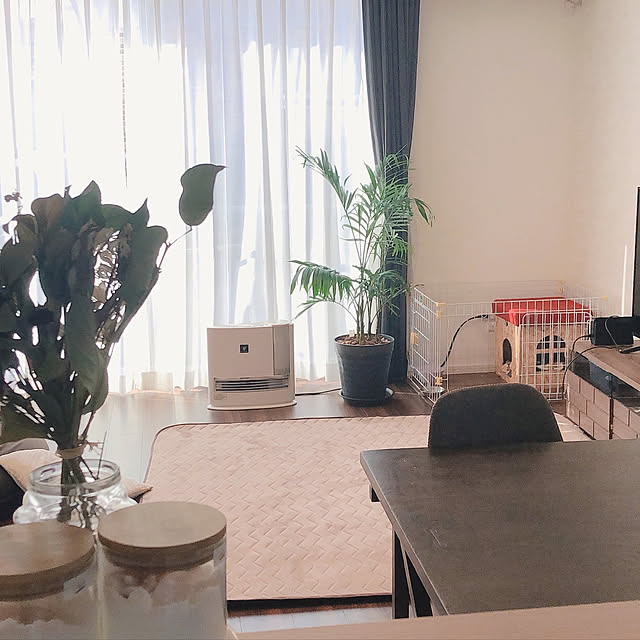 観葉植物/#建売住宅/照明/部屋全体のインテリア実例 - 2021-08-03 08:51:04