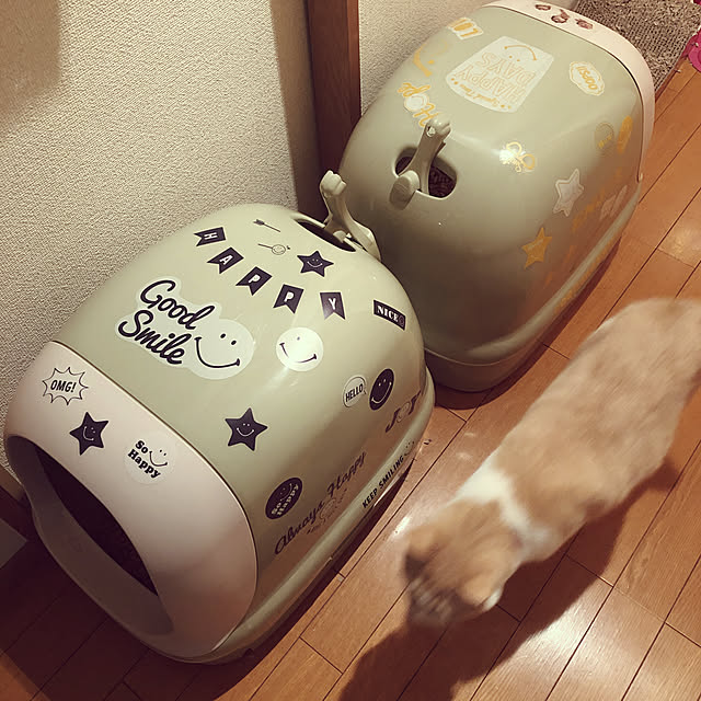 naworinさんの実例写真