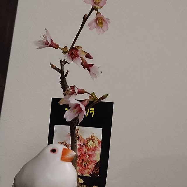 5160ksさんの実例写真