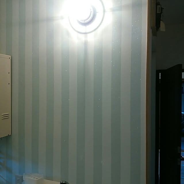 papiさんの実例写真