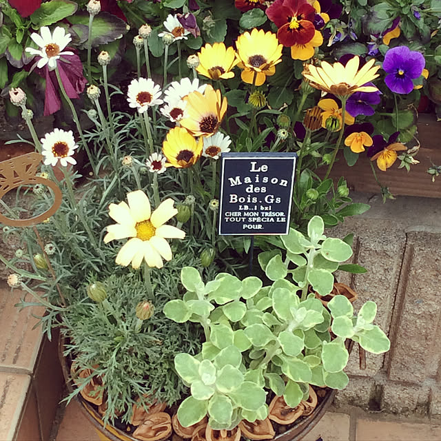 kokoronさんの実例写真