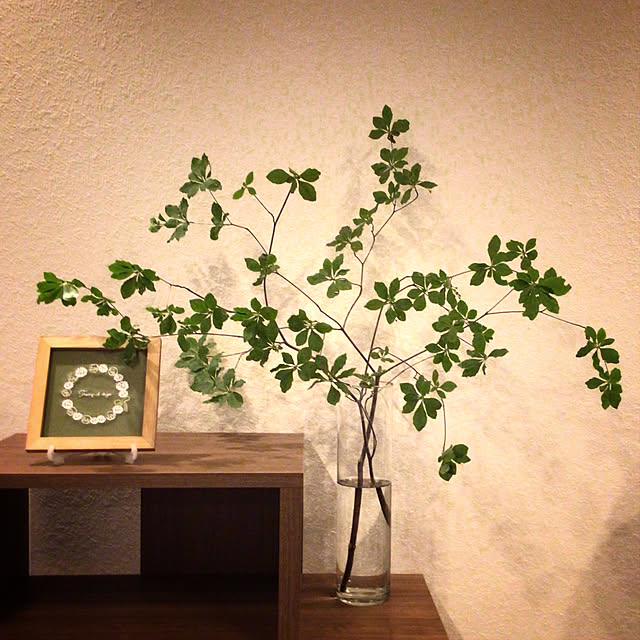 houenさんの実例写真