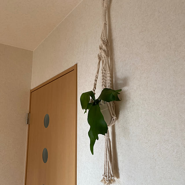 kaorinさんの実例写真