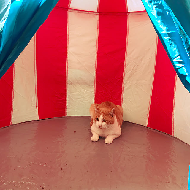 happyさんの実例写真