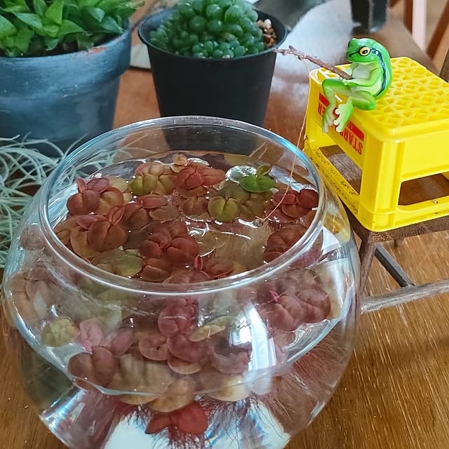 teamoさんの部屋