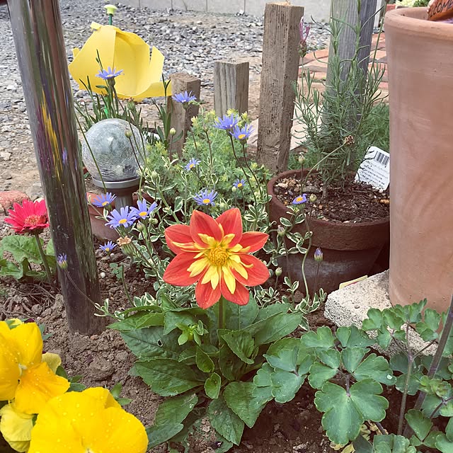 srsさんの実例写真