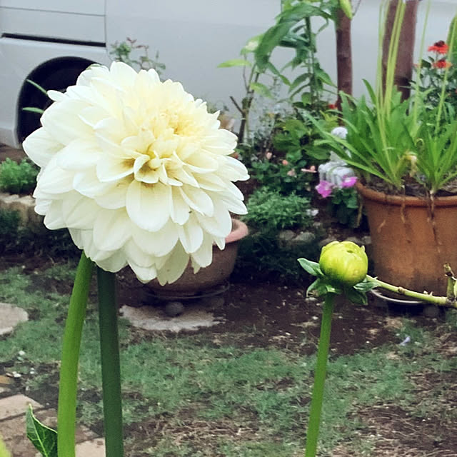 KYONさんの部屋