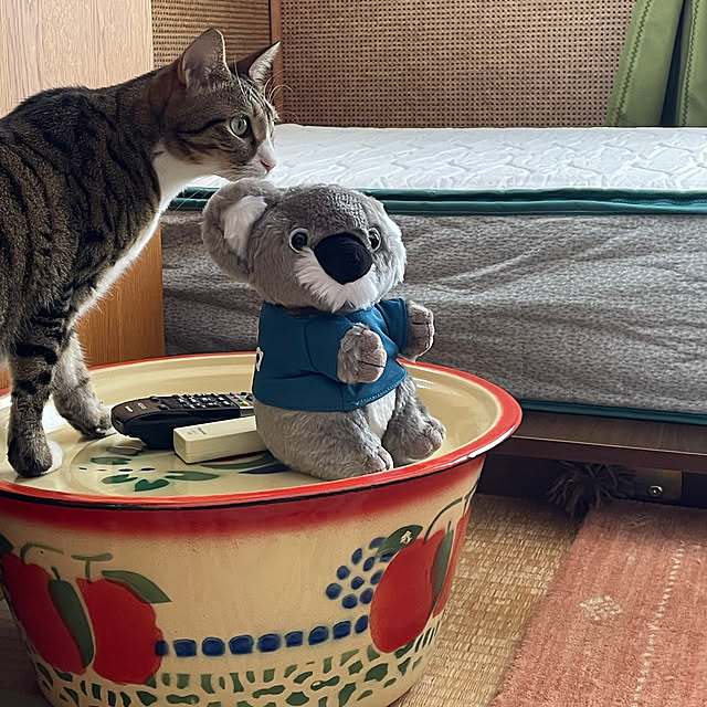 nobikoさんの部屋