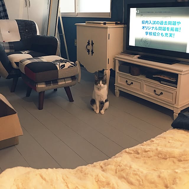 Shihoさんの実例写真